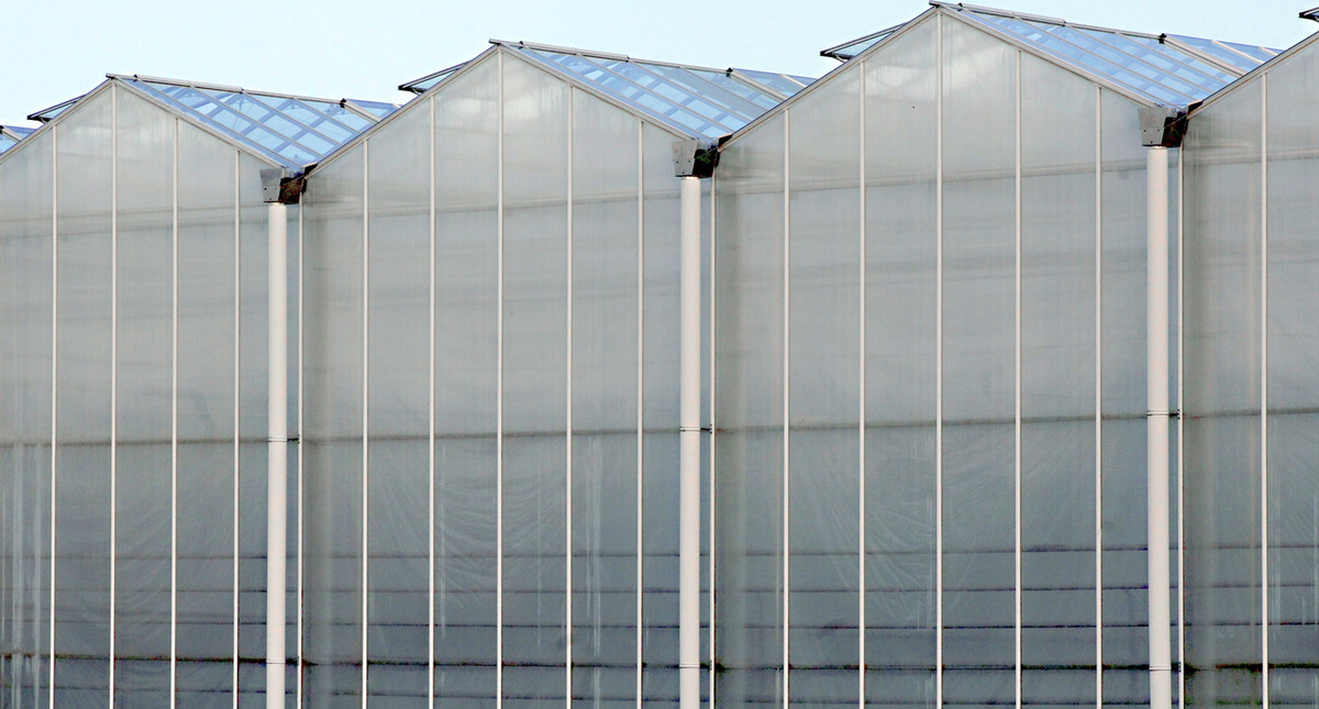 ściany z poliwęglanu komorowego